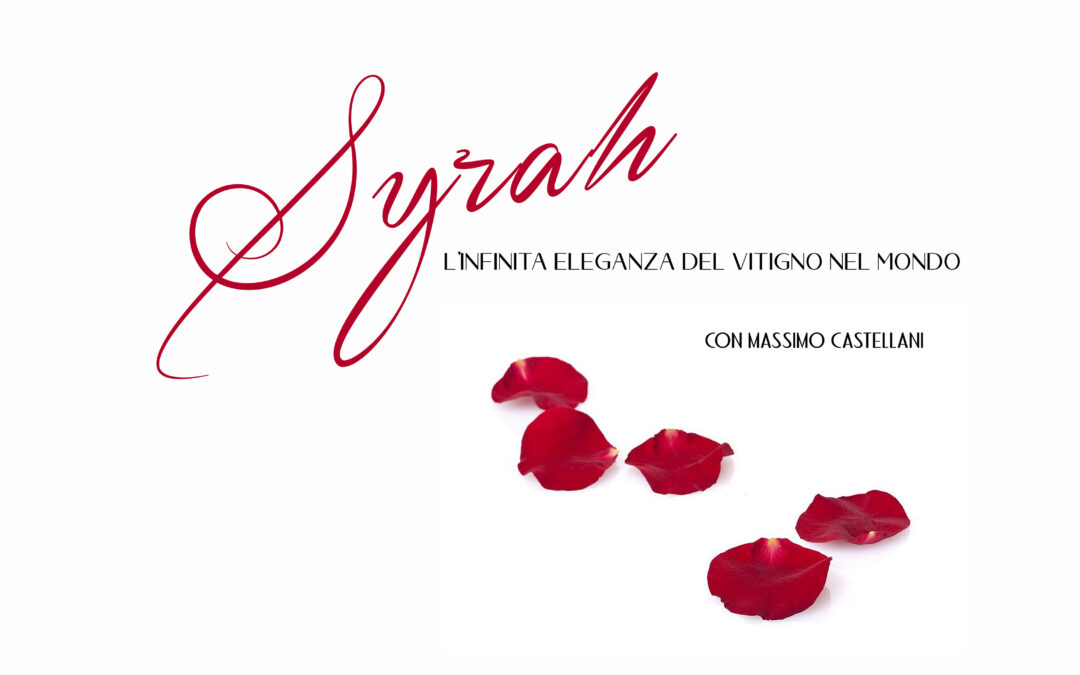 Syrah – L’infinita eleganza del vitigno nel mondo
