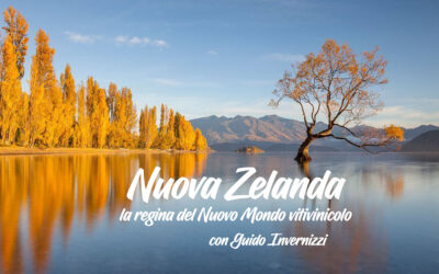 Nuova Zelanda: la regina del Nuovo Mondo vitivinicolo