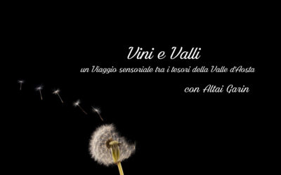 Vini e Valli: Un Viaggio Sensoriale tra i Tesori della Valle d’Aosta