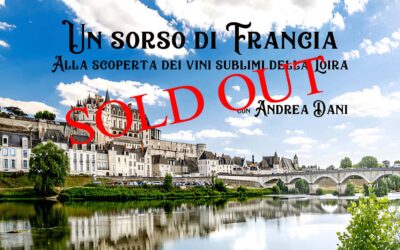 Un sorso di Francia: Alla scoperta dei vini sublimi della Loira