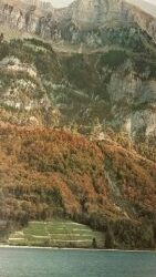 Divagazioni elvetiche